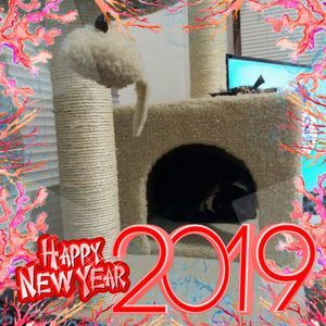 Meet your Posher, Barbara